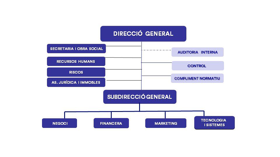 Organigrama