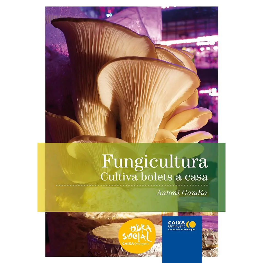 FUNGICULTURA. Cultiva bolets a casa