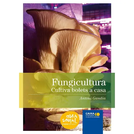 FUNGICULTURA. Cultiva bolets a casa
